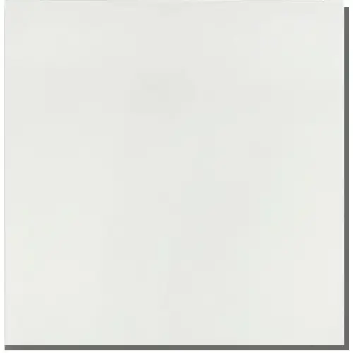 PG Normal White 60x60 bela polirana pločica