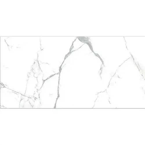 Neo Calacatta Silver 60x120