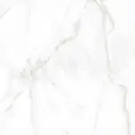 PG Calacatta Gold 100x100