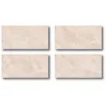 PG Atlantic Beige Rec 80x160