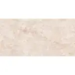 PG Rizzont Beige Rec 80x160