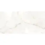 gorgeous onyx bela pločica 60x120