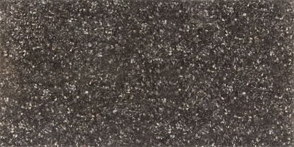 LABRADOR Black 29.5x59.5